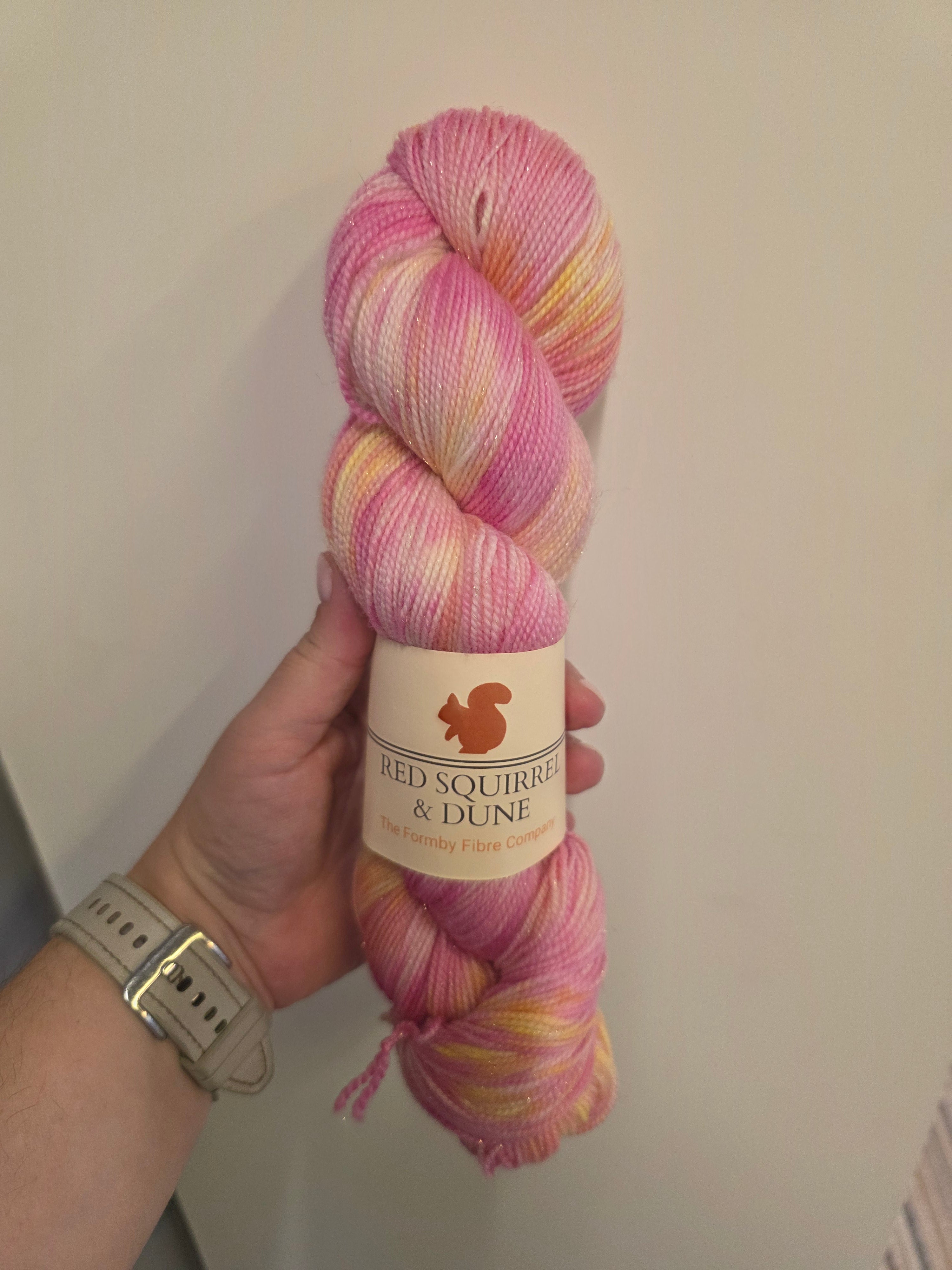 Red Squirrel & Dune Sparkle Sock Yarn