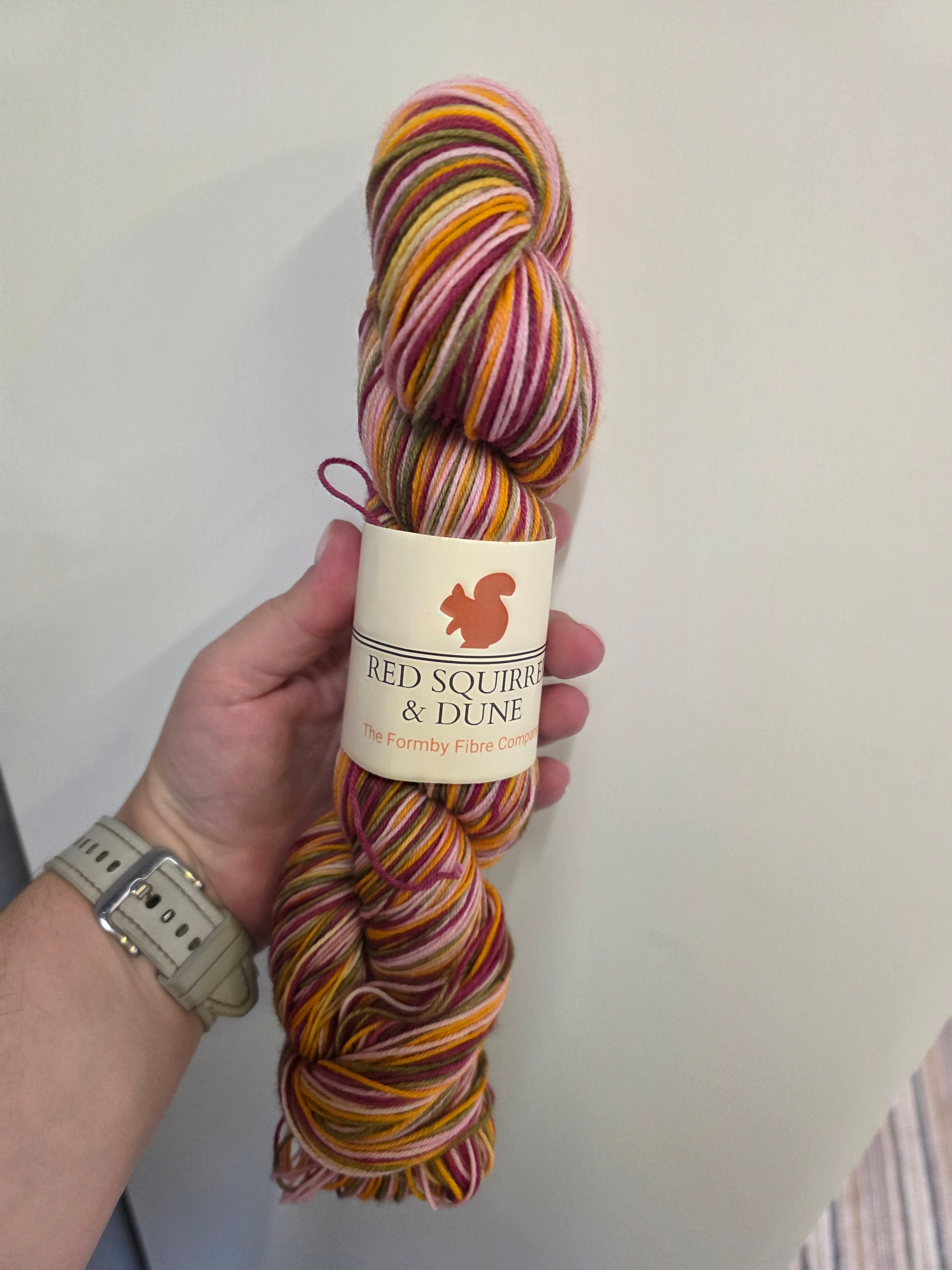 Red Squirrel & Dune Stripy Sock