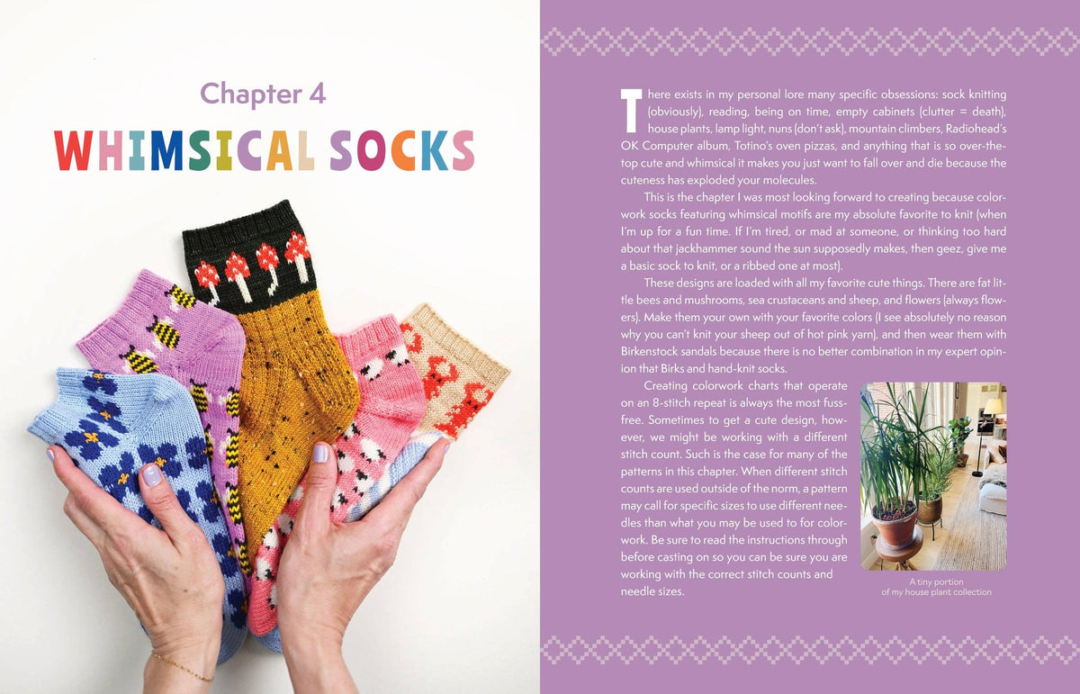 The Sock Obsession - Supercool Socks to Knit and Show Off